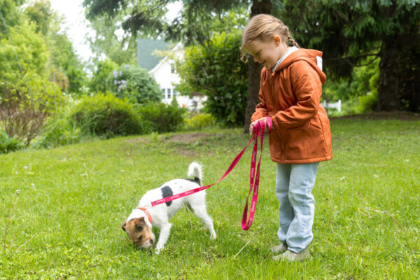 Laisse pour petit chien 2 mètres (moins de 3 livres) – Image 4
