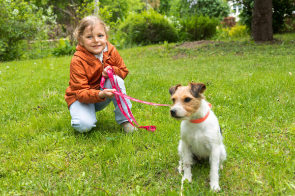 Laisse pour petit chien 2 mètres (moins de 3 livres) – Image 5
