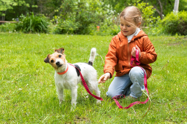 Laisse pour petit chien 2 mètres (moins de 3 livres) – Image 6